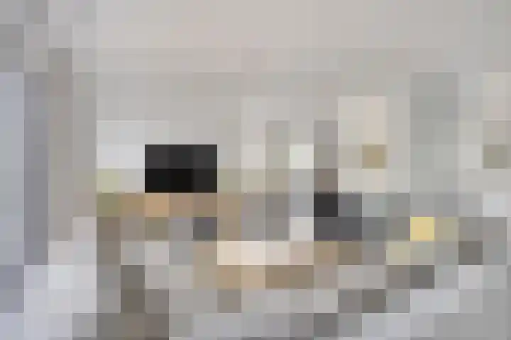 Broenskuil 16 Herten thumbnail 8