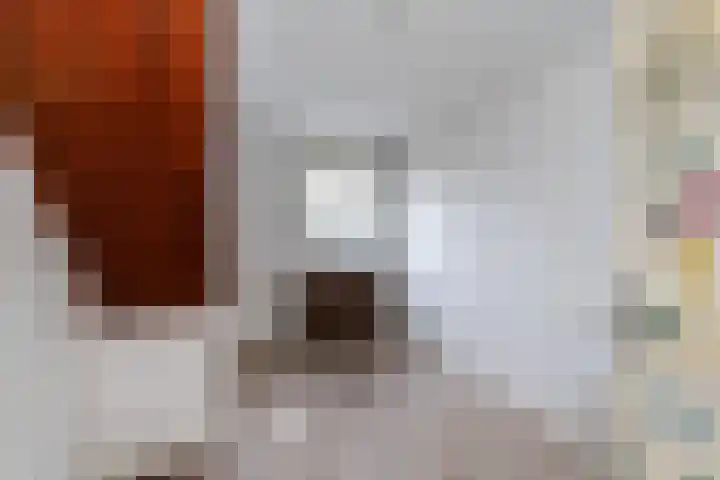 Broerdijk 100 Nijmegen thumbnail 11