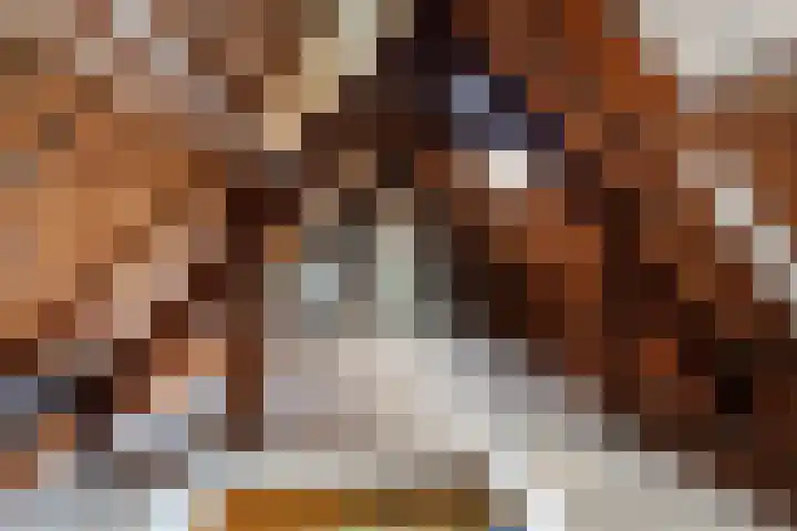 Broerdijk 100 Nijmegen thumbnail 19