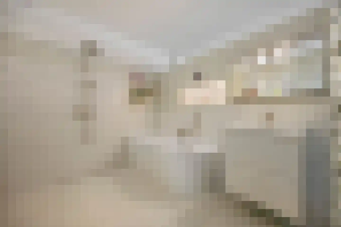 Broerdijk 12 Nijmegen thumbnail 6