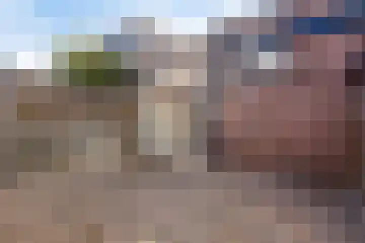 Broerdijk 159 Nijmegen thumbnail 31