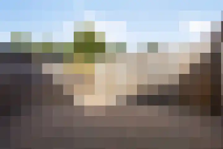 Broerdijk 159 Nijmegen thumbnail 32