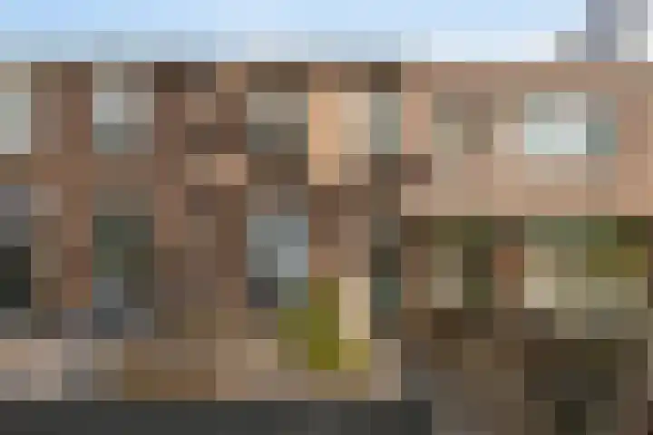 Broerdijk 159 Nijmegen thumbnail 7