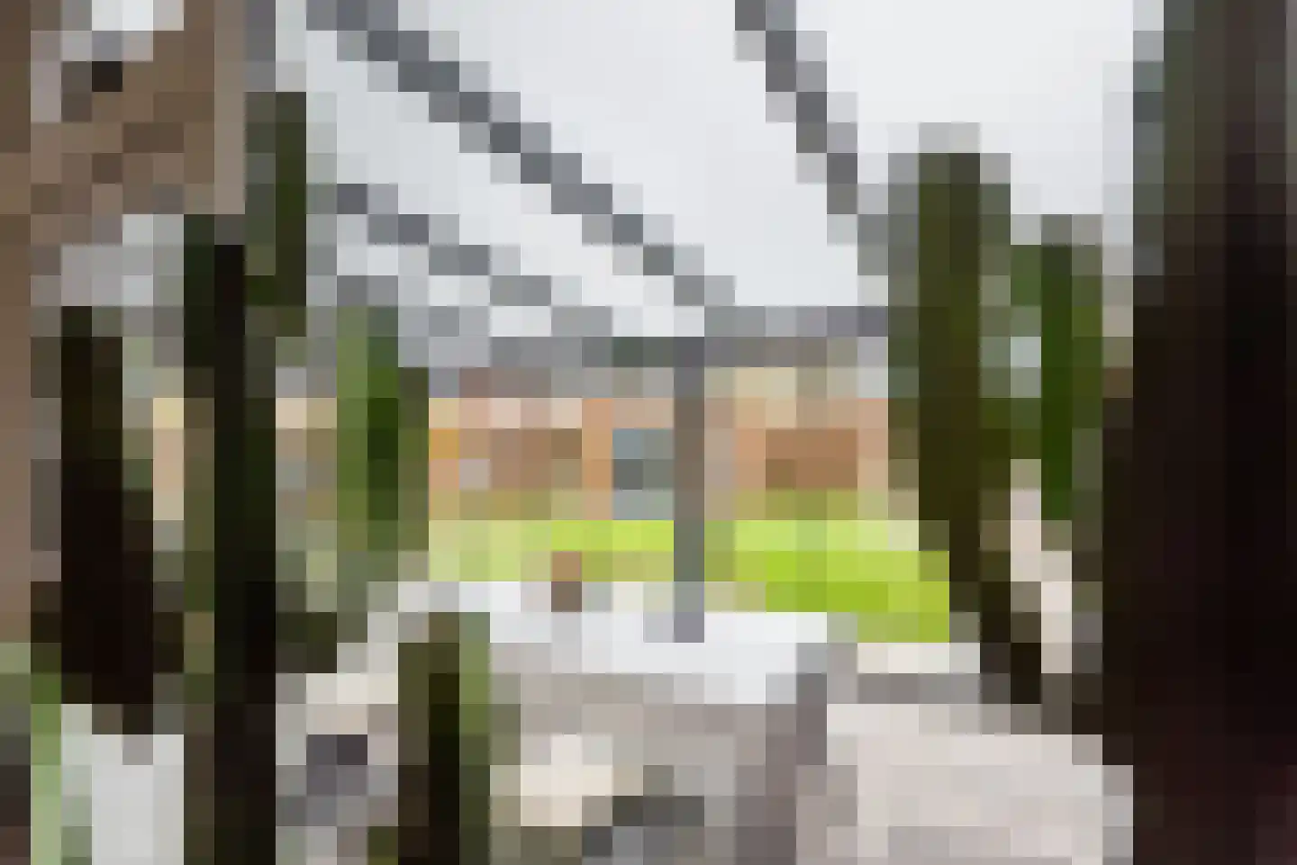 Broerdijk 20 Gendringen thumbnail 17