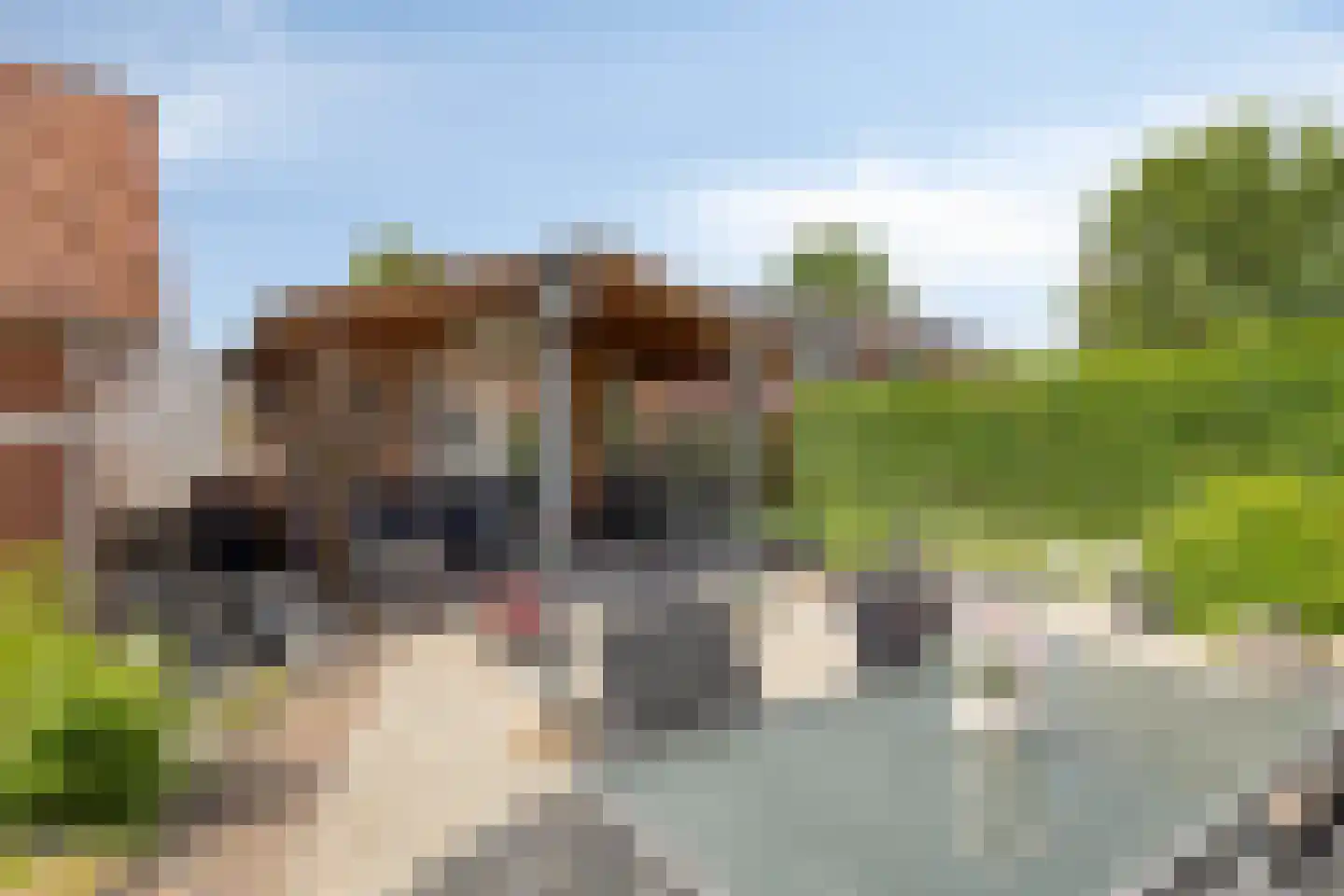 Broerdijk 8 Gendringen thumbnail 42