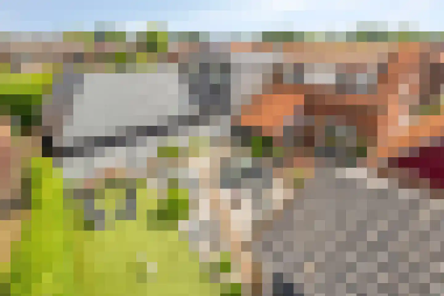 Broerdijk 8 Gendringen thumbnail 54