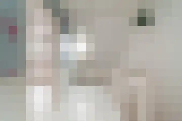 Broerdijk 84 Nijmegen thumbnail 14