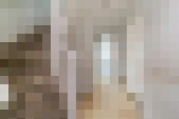 Broerdijk 84 Nijmegen thumbnail 8