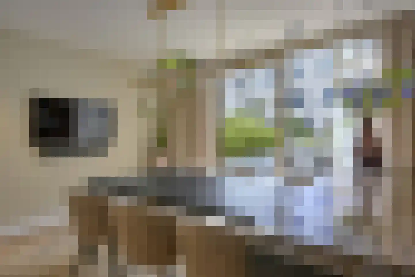Broerenstraat 34 Arnhem thumbnail 10