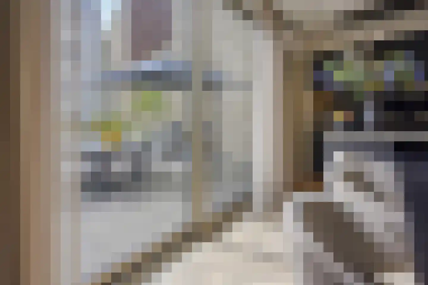 Broerenstraat 34 Arnhem thumbnail 13