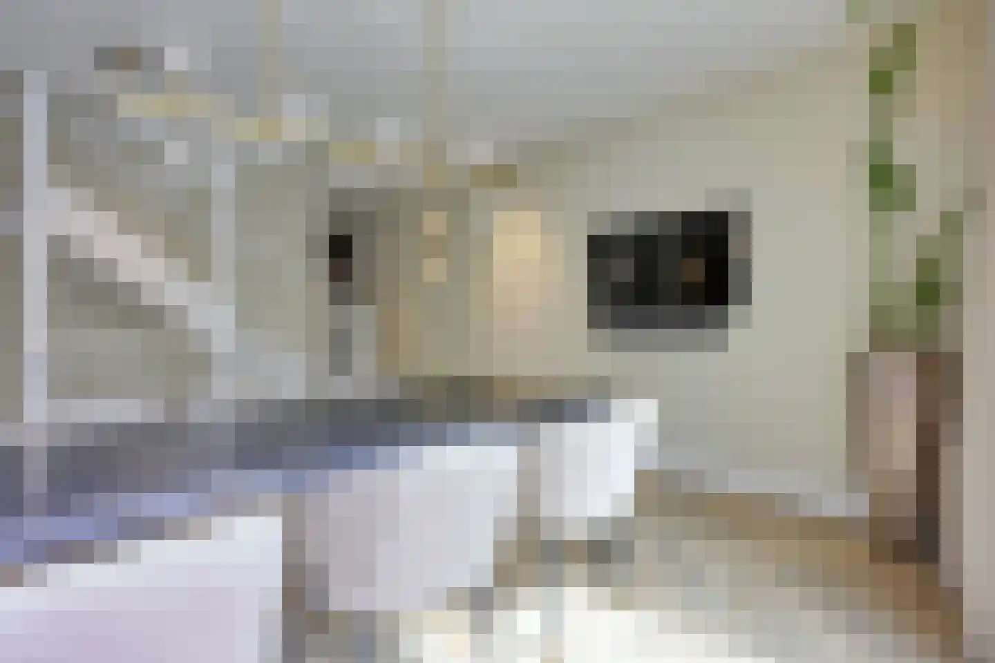Broerenstraat 34 Arnhem thumbnail 18