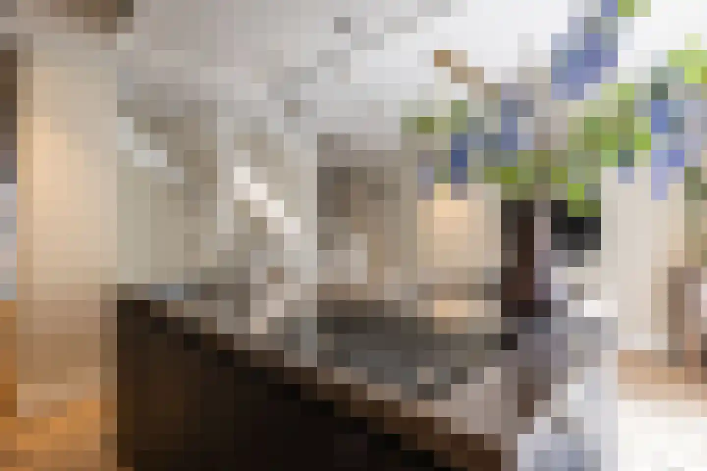 Broerenstraat 34 Arnhem thumbnail 25
