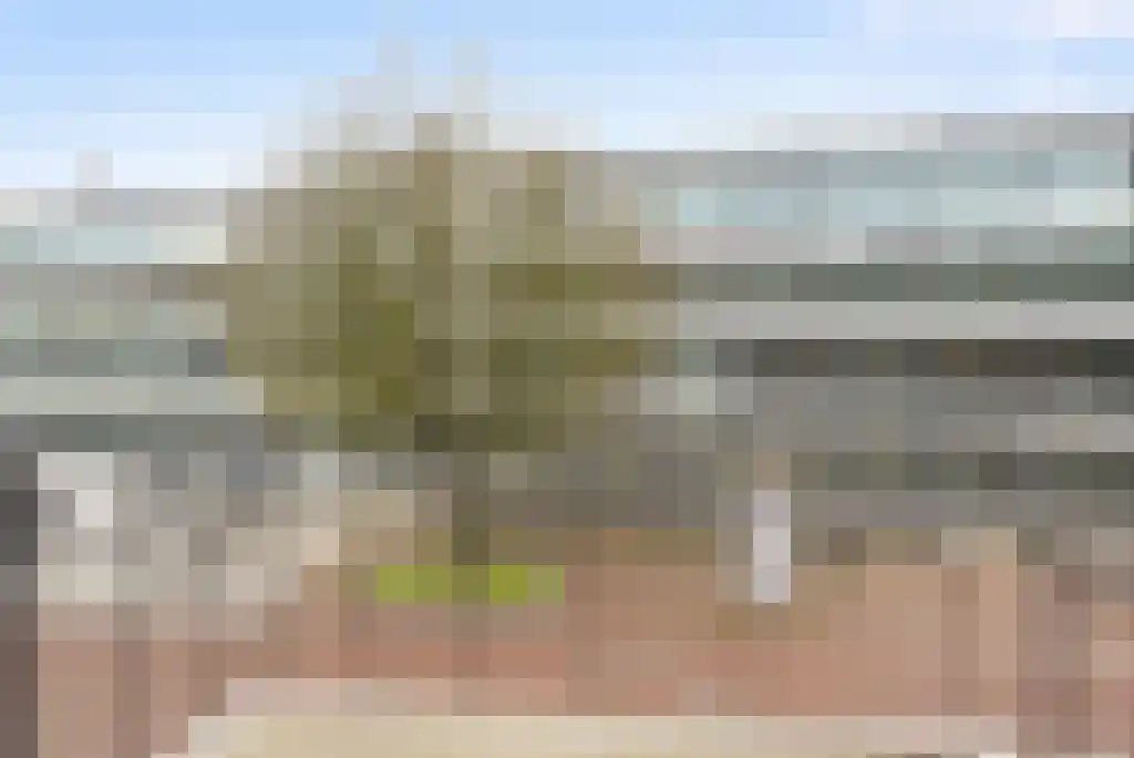 Broerenstraat 45 Arnhem thumbnail 6