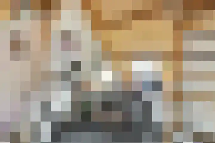 Broerestraat 17 Utrecht thumbnail 30