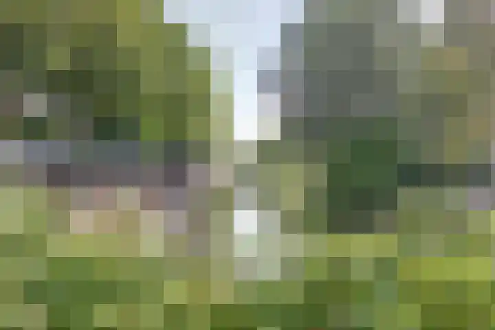Broerestraat 17 Utrecht thumbnail 36