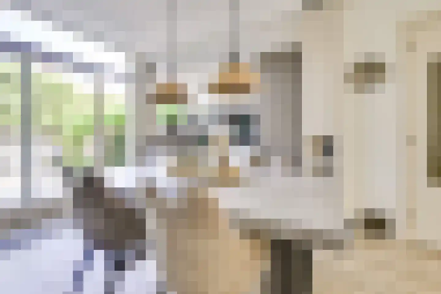 Broerestraat 21 Utrecht thumbnail 14