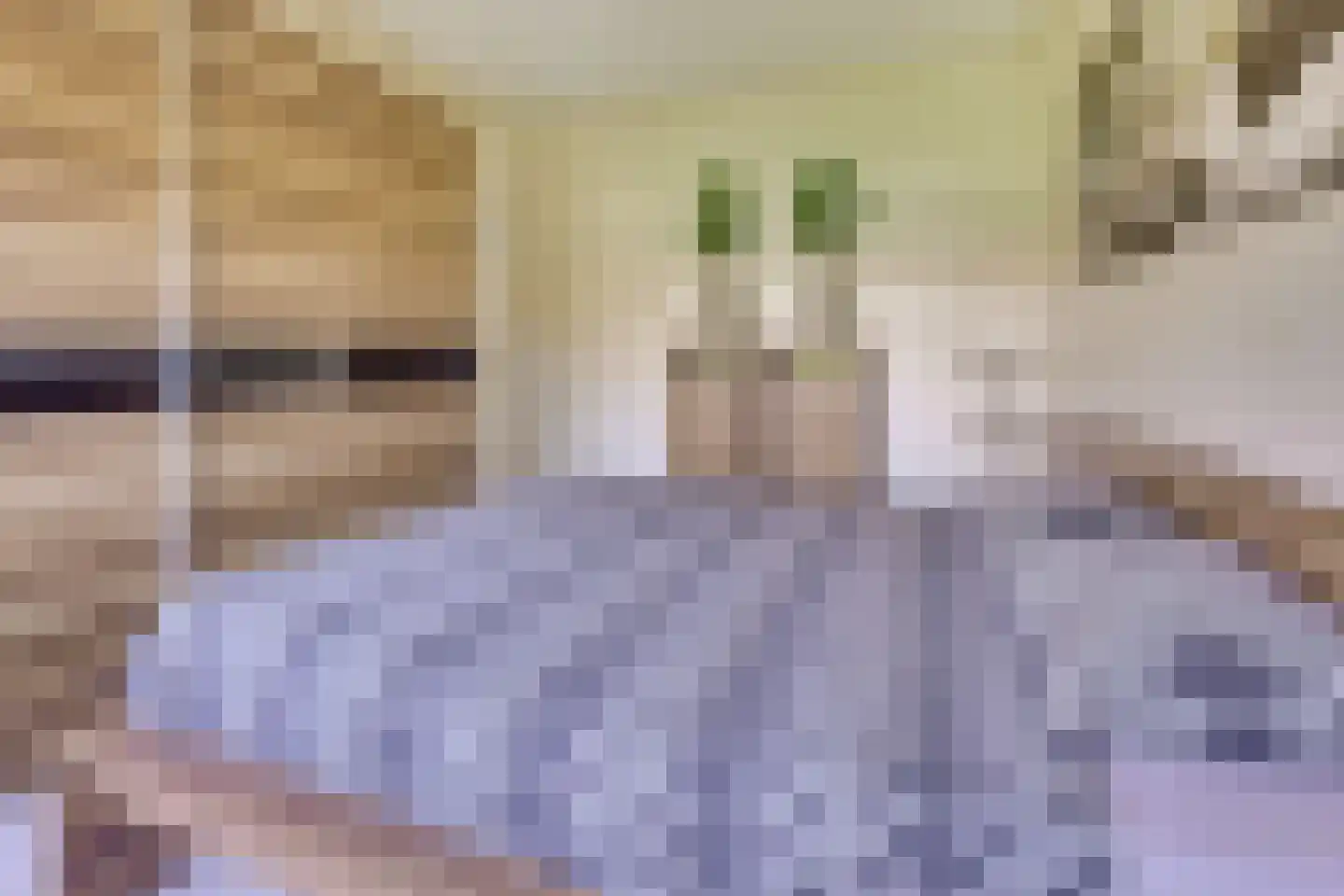 Broerestraat 21 Utrecht thumbnail 25