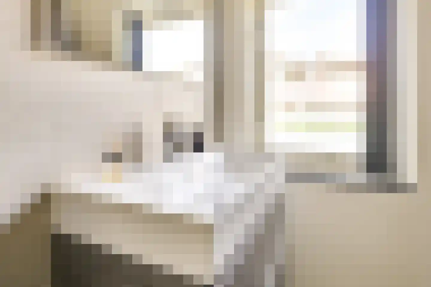 Broerestraat 21 Utrecht thumbnail 36