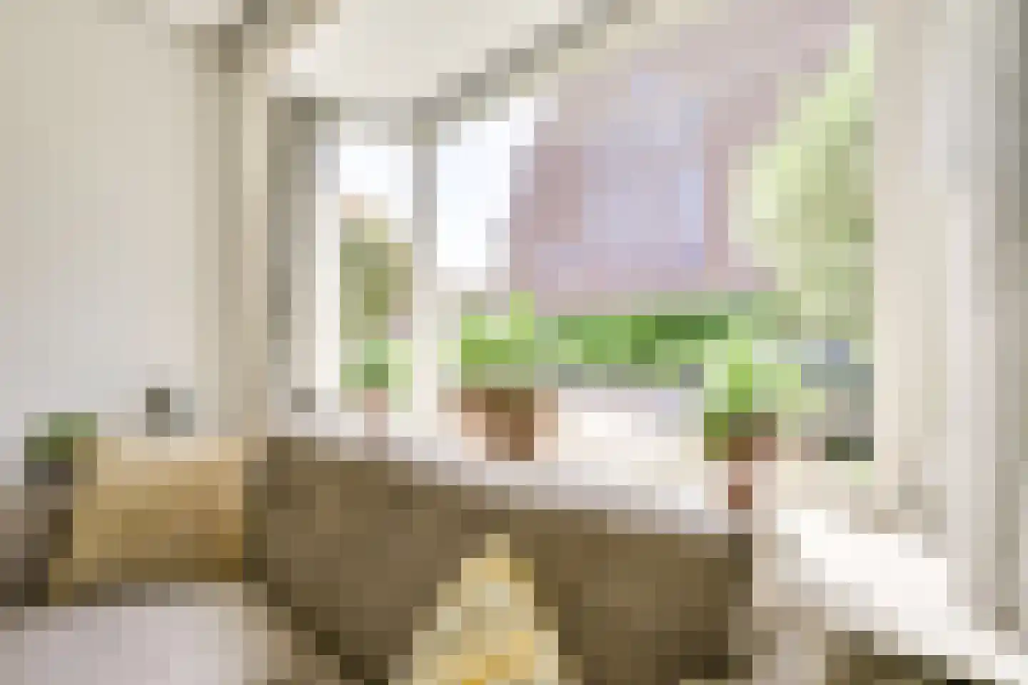 Broerestraat 21 Utrecht thumbnail 7
