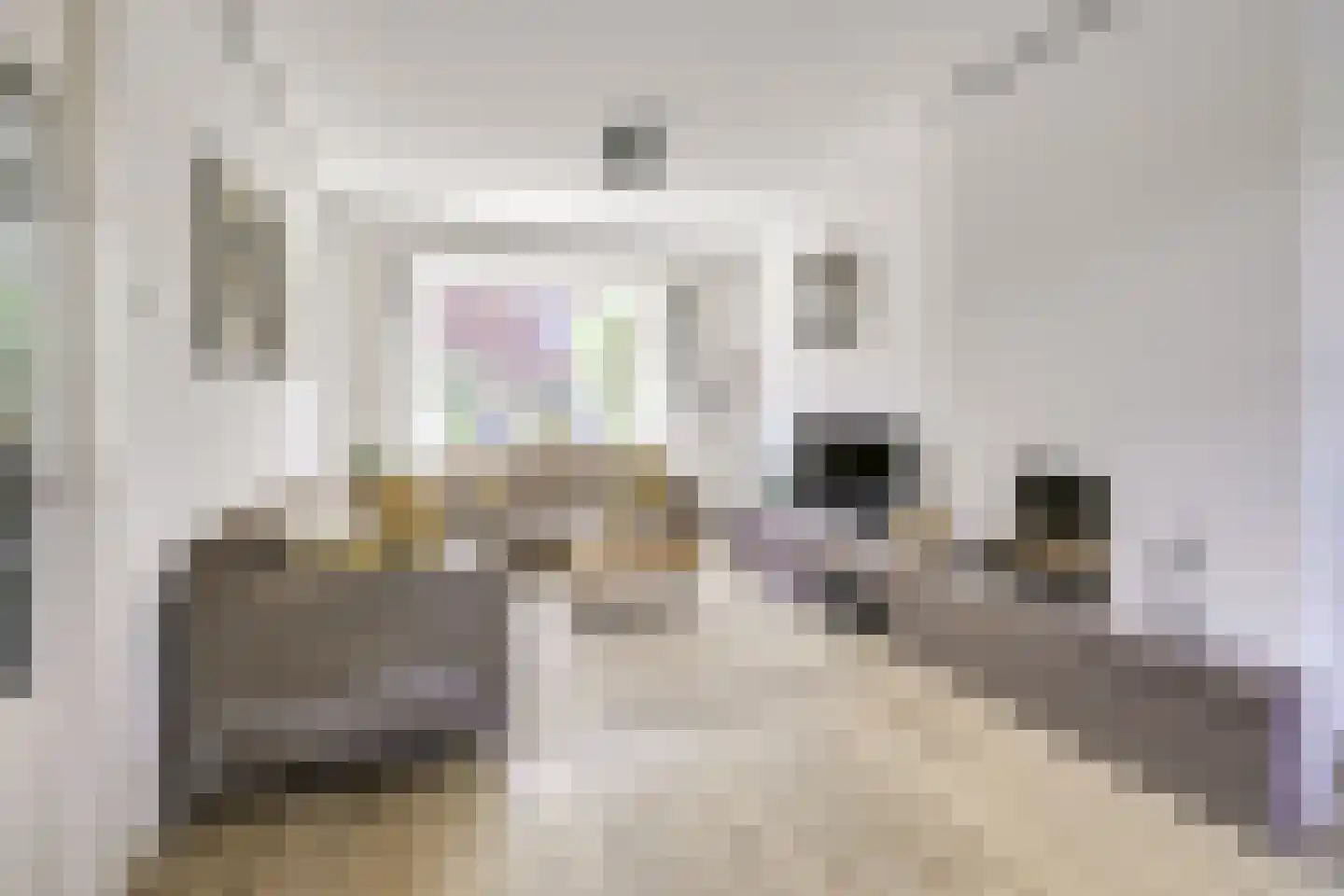 Broerestraat 21 Utrecht thumbnail 9