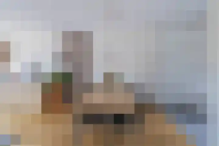 Broersmarken 4 Assendelft thumbnail 15