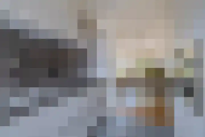 Broersmarken 4 Assendelft thumbnail 16