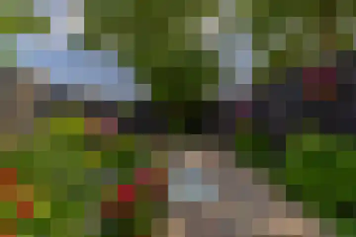 Broersmarken 4 Assendelft thumbnail 33