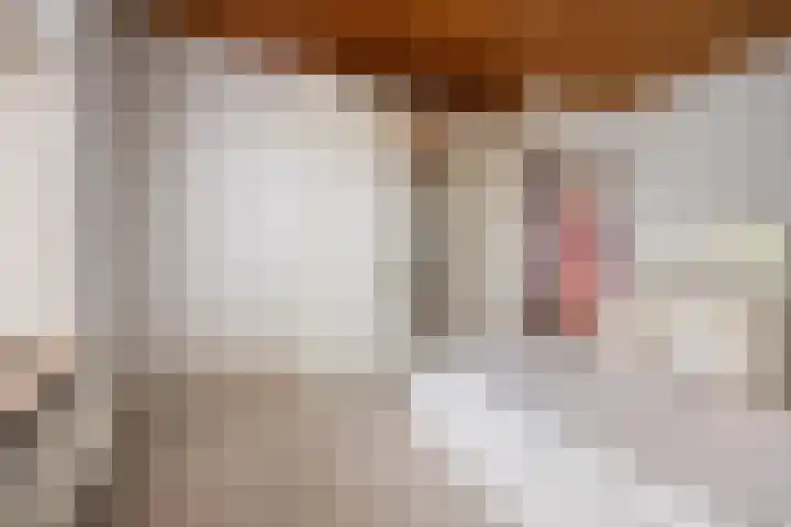 Broerstraat 5 Horssen thumbnail 13