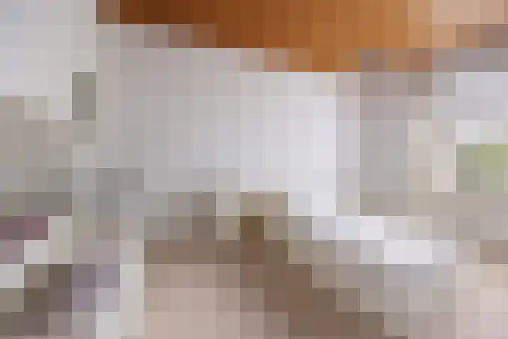 Broerstraat 5 Horssen thumbnail 14