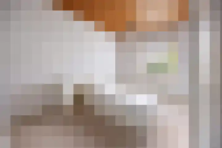 Broerstraat 5 Horssen thumbnail 15