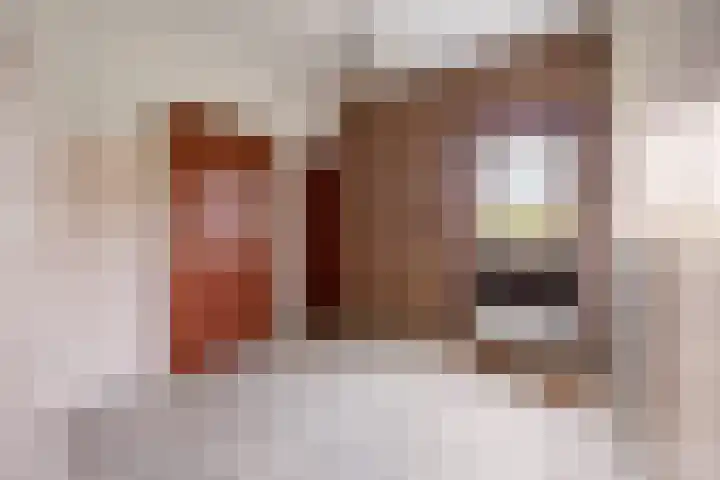 Broerstraat 5 Horssen thumbnail 17