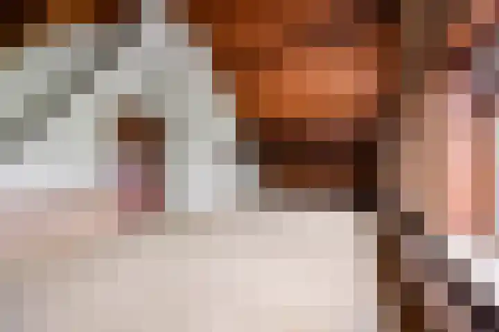 Broerstraat 5 Horssen thumbnail 32