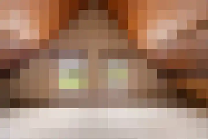 Broerstraat 5 Horssen thumbnail 33