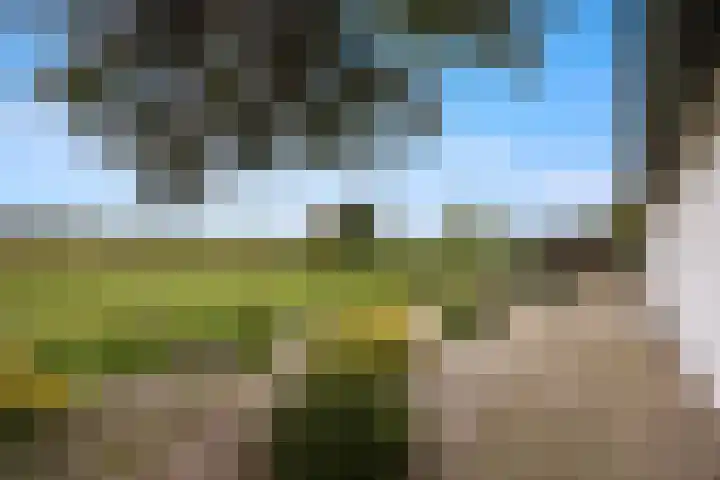 Broerstraat 5 Horssen thumbnail 36