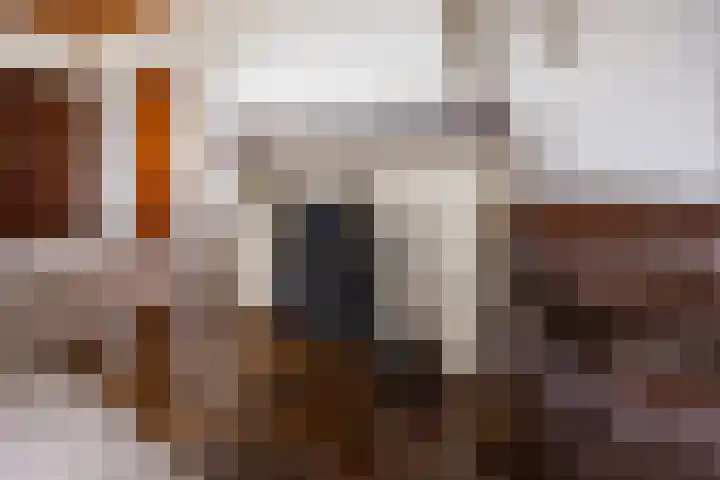 Broerstraat 5 Horssen thumbnail 6