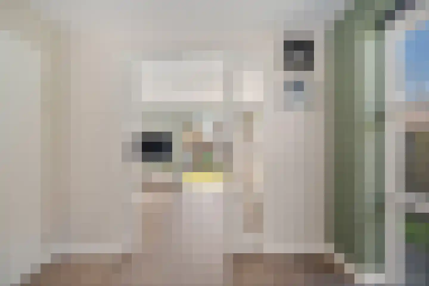 Broerstrjitte 22 Oppenhuizen thumbnail 16