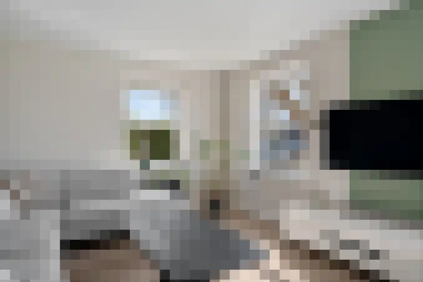 Broerstrjitte 22 Oppenhuizen thumbnail 20