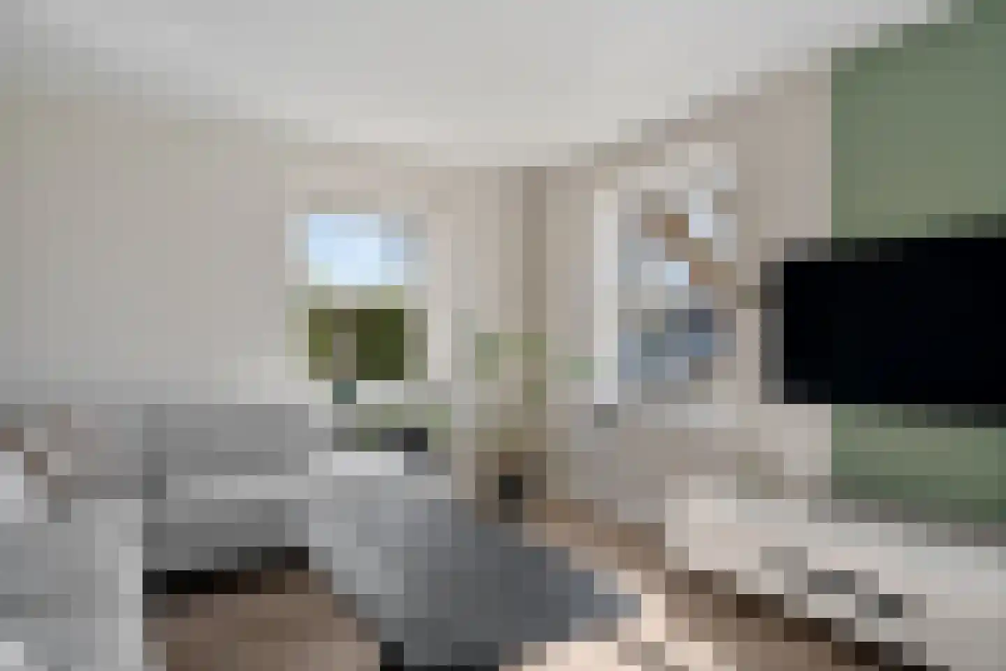 Broerstrjitte 22 Oppenhuizen thumbnail 21