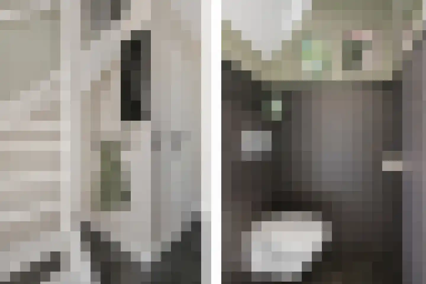 Broerstrjitte 22 Oppenhuizen thumbnail 22