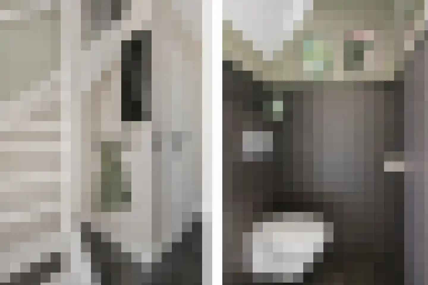 Broerstrjitte 22 Oppenhuizen thumbnail 23