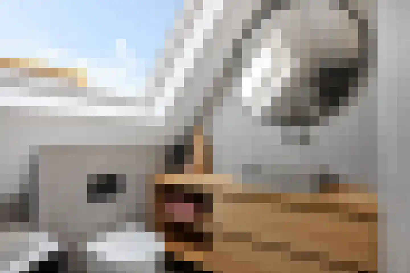 Broerstrjitte 22 Oppenhuizen thumbnail 33