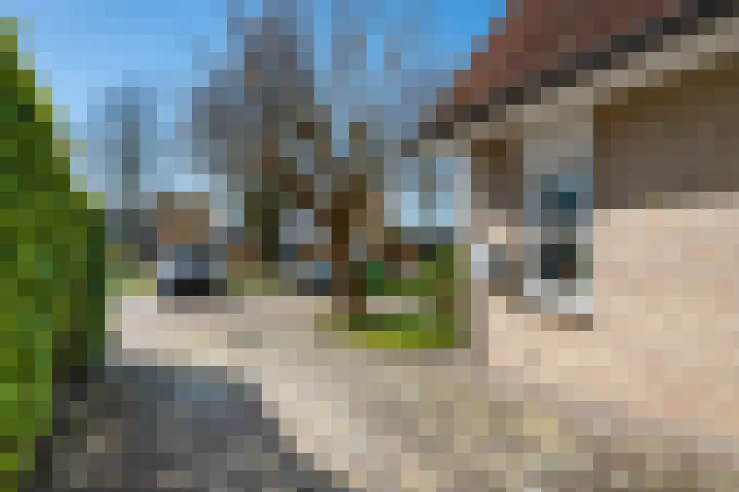 Broerstrjitte 22 Oppenhuizen thumbnail 8