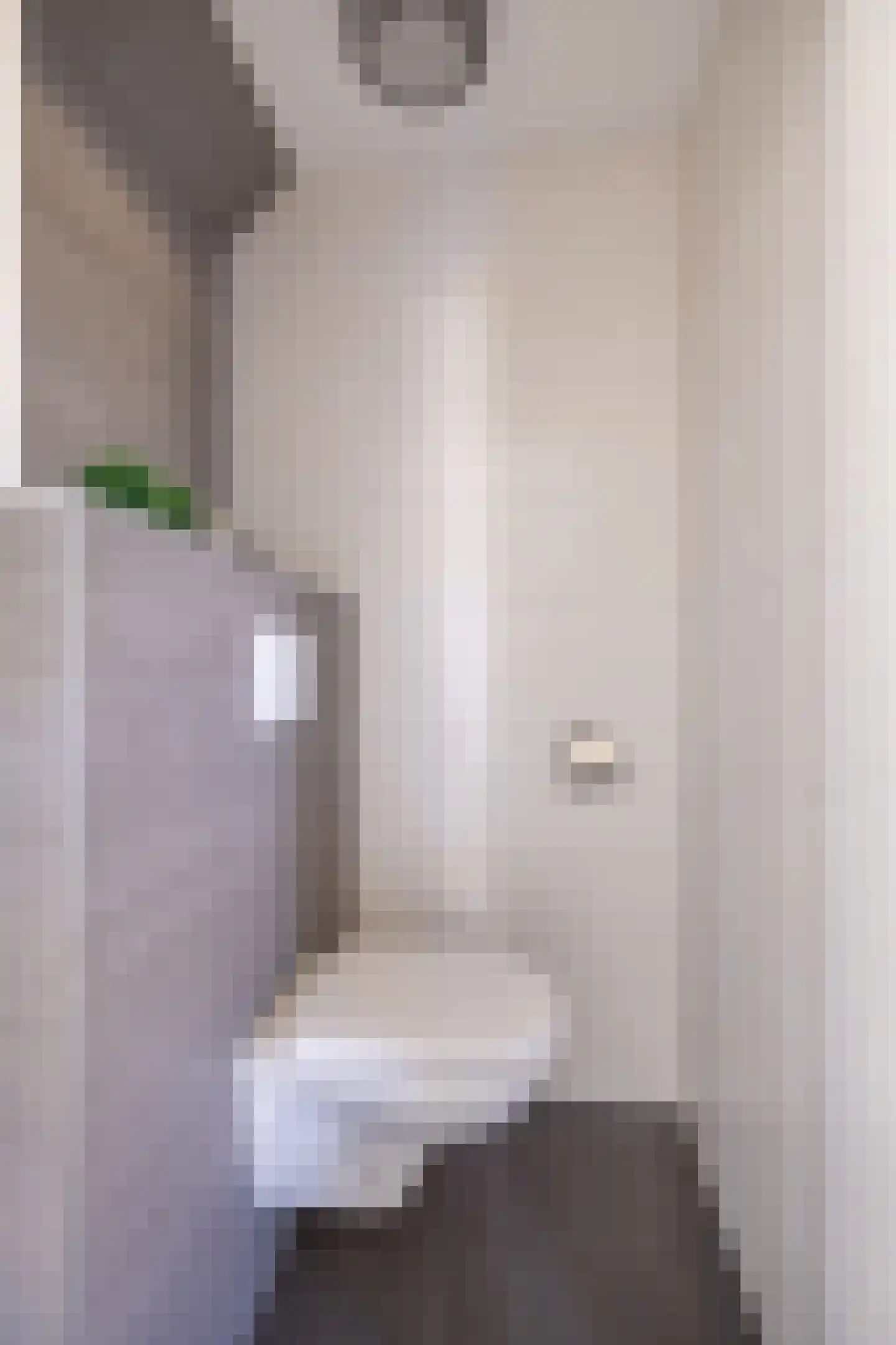 Broerstrjitte 28 Oppenhuizen thumbnail 16