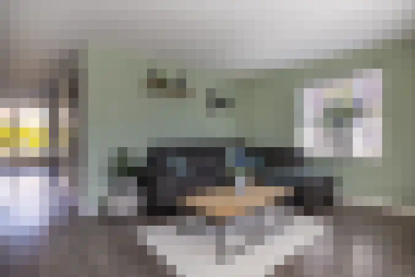 Broerstrjitte 28 Oppenhuizen thumbnail 21