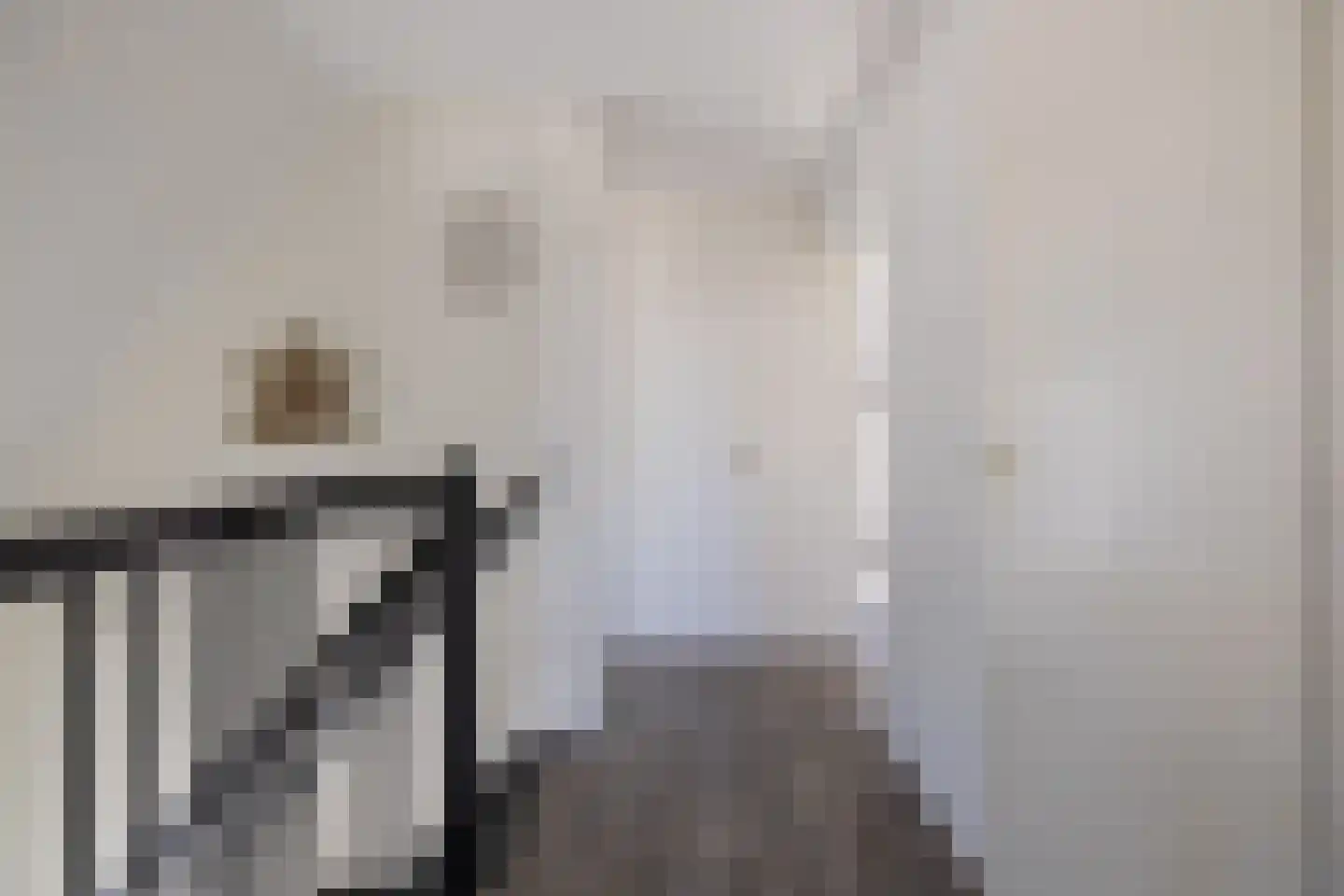 Broerstrjitte 28 Oppenhuizen thumbnail 33