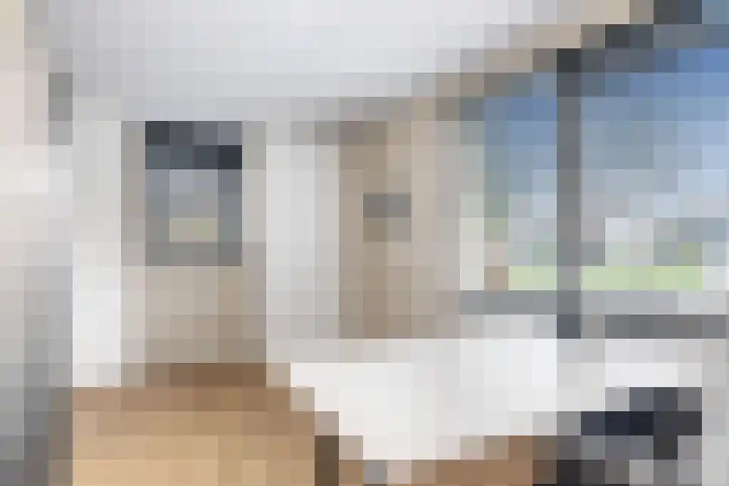 Broerstrjitte 45 Oppenhuizen thumbnail 14