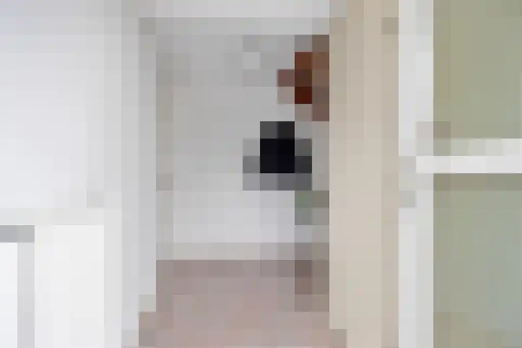 Broerstrjitte 45 Oppenhuizen thumbnail 15
