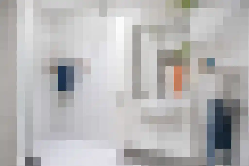 Broerstrjitte 45 Oppenhuizen thumbnail 24