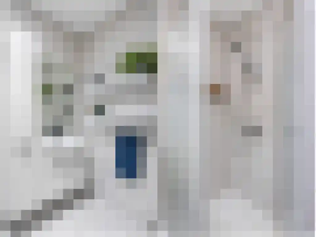 Broerstrjitte 45 Oppenhuizen thumbnail 25