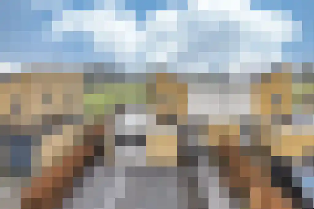 Broerstrjitte 45 Oppenhuizen thumbnail 38
